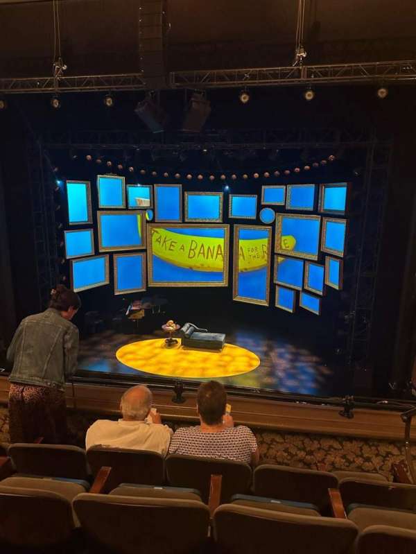 Nederlander Theatre, section: Mezzanine C, row: D, seat: 102