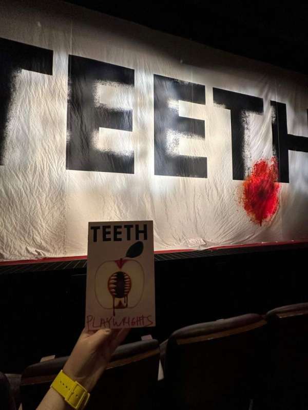 Judy Theatre at Playwrights Horizons, section: Orchestra, row: B, seat: 13