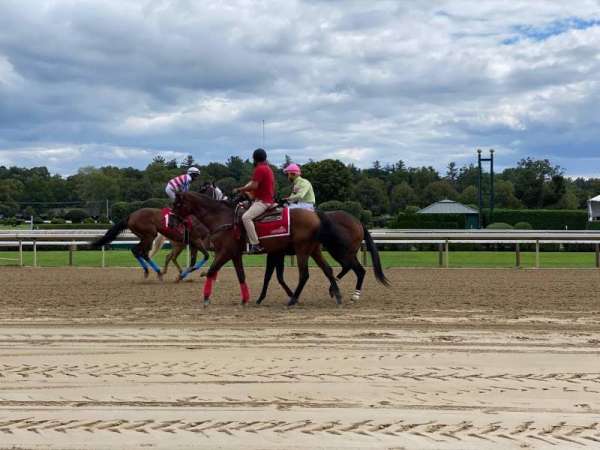 Saratoga Race Course, section: At Track