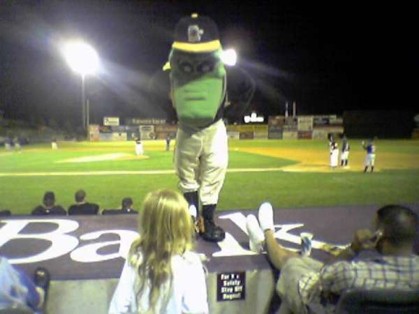 Dodd Stadium, section: 15, row: 3