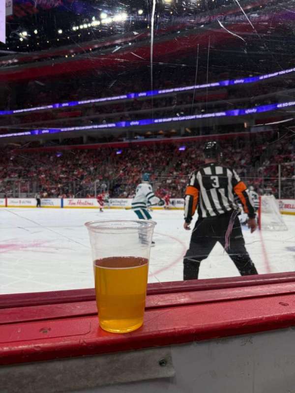 Little Caesars Arena, section: 118, row: 1, seat: 2