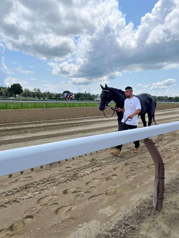 Saratoga Race Course, section: Stella Artois Spa Veranda