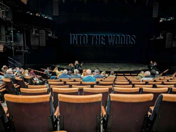 Bridge Theatre, section: Stalls, row: M, seat: 21