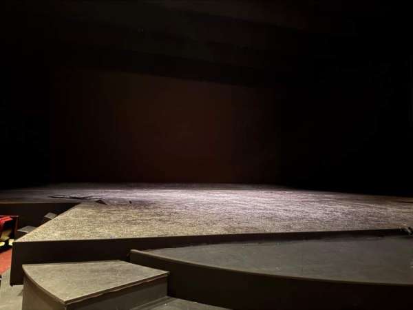 Vivian Beaumont Theater, section: Orchestra LC, row: D, seat: 203
