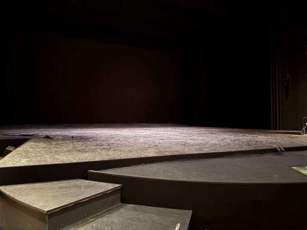 Vivian Beaumont Theater, section: Orchestra LC, row: D, seat: 204