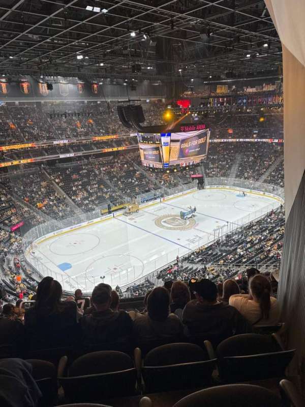 T-Mobile Arena, section: 219, row: M, seat: 3