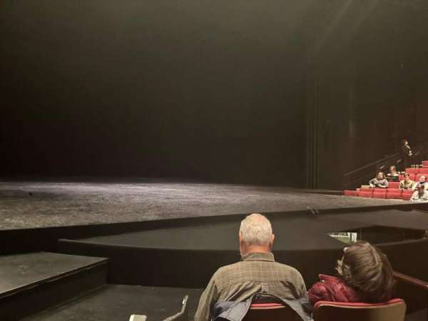 Vivian Beaumont Theater, section: Orchestra LC, row: D, seat: 204