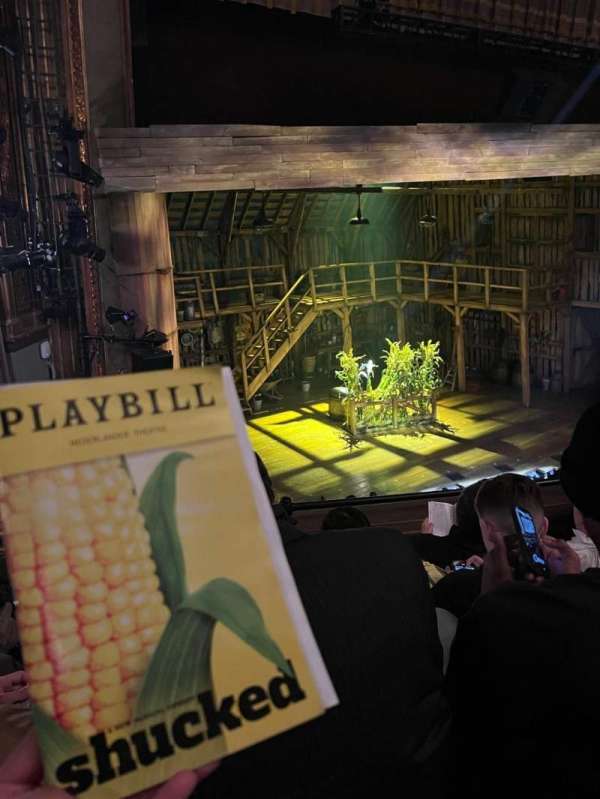 Nederlander Theatre, section: Mezzanine L, row: D, seat: 9