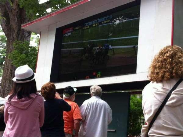 Saratoga Race Course, section: The Backyard
