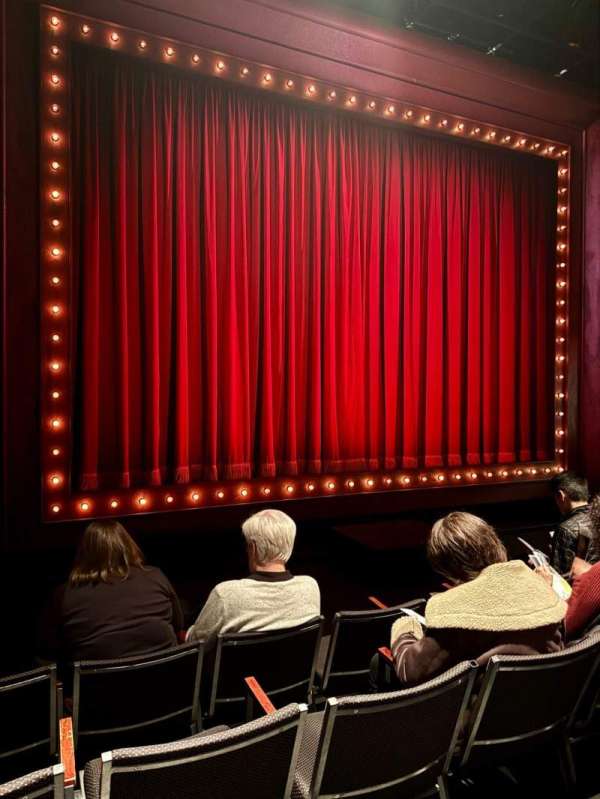 Martinson Theater at the Public, section: Orchestra, row: D, seat: 15