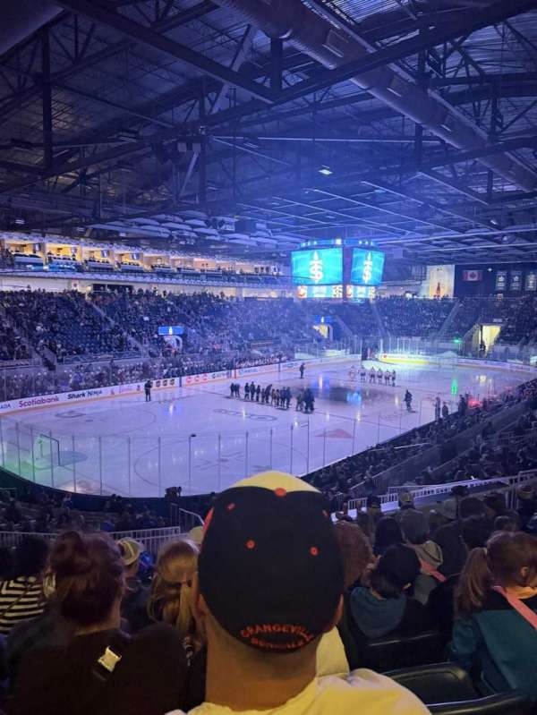 Coca-Cola Coliseum, section: 113, row: P, seat: 20