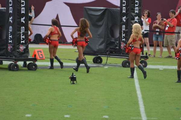 Raymond James Stadium, section: 132, row: n, seat: 19