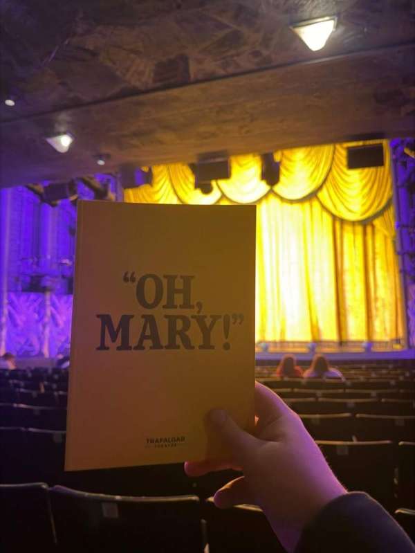 Trafalgar Theatre, section: Stalls, row: M, seat: 9