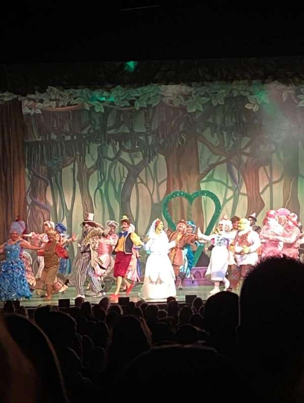 Hull New Theatre, section: Stalls, row: W, seat: 14