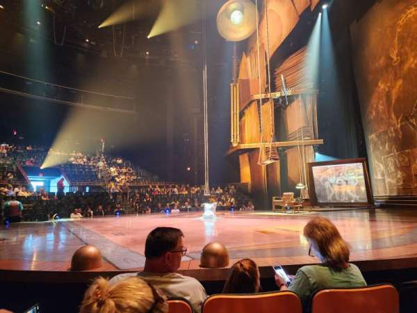 The Drawn to Life Theatre at Disney Springs, section: 101, row: C, seat: 14