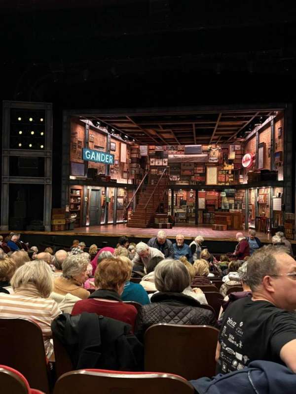 Paper Mill Playhouse, section: Orchestra C, row: P, seat: 113
