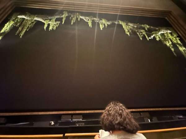 Goodman Theatre - Albert Theatre, section: Main Floor, row: B, seat: 14