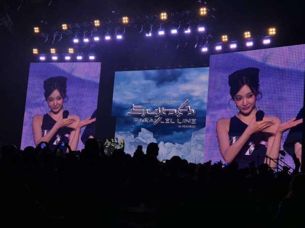 Movistar Arena, Madrid, section: Pista