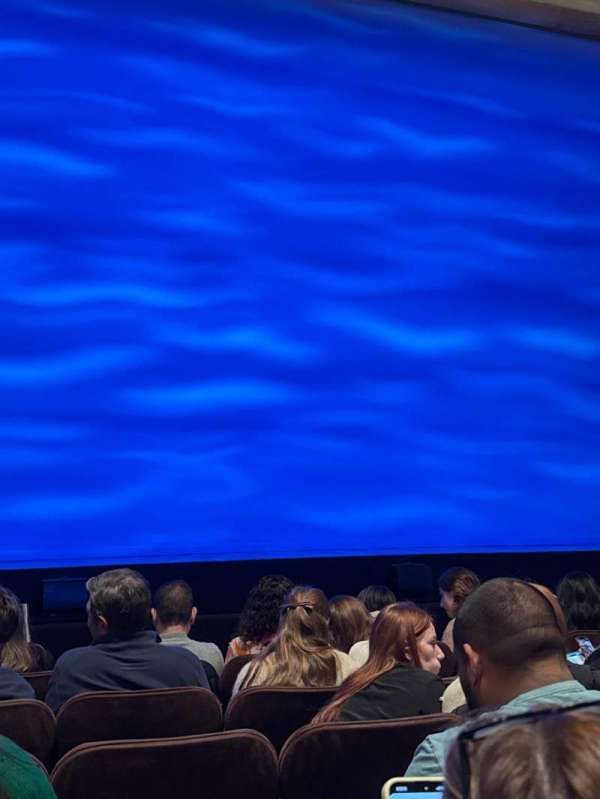 Winter Garden Theatre, section: Orchestra C, row: F, seat: 113