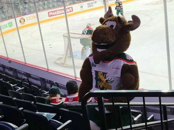 Scotiabank Centre, section: 13, row: j, seat: 9