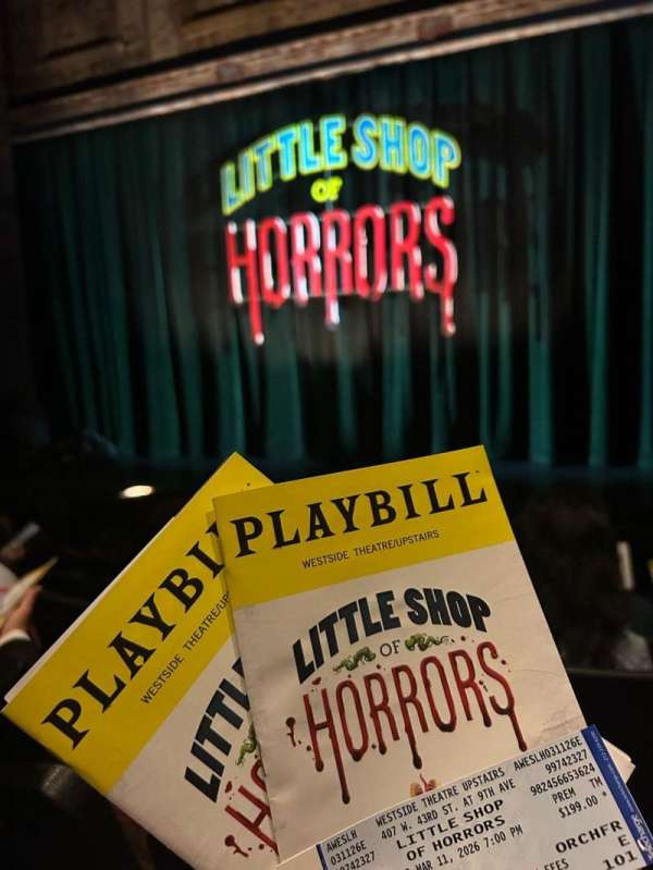 Westside Theatre Upstairs, section: Orchestra C, row: E, seat: 102