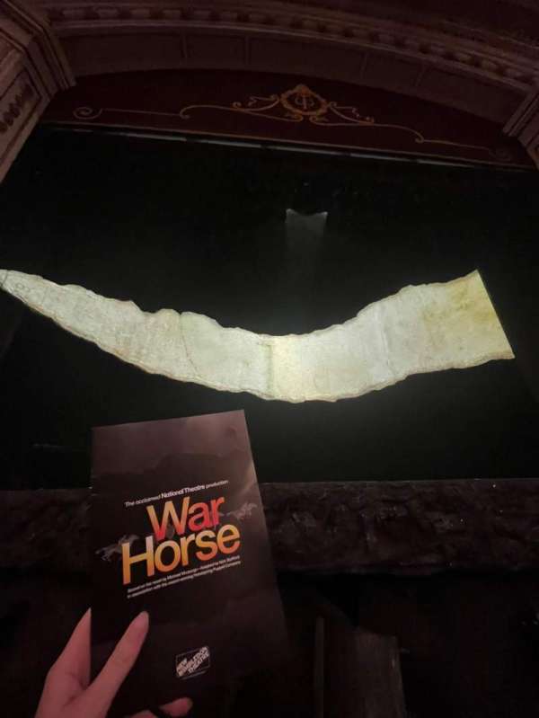 New Wimbledon Theatre, section: Stalls, row: AA, seat: 7