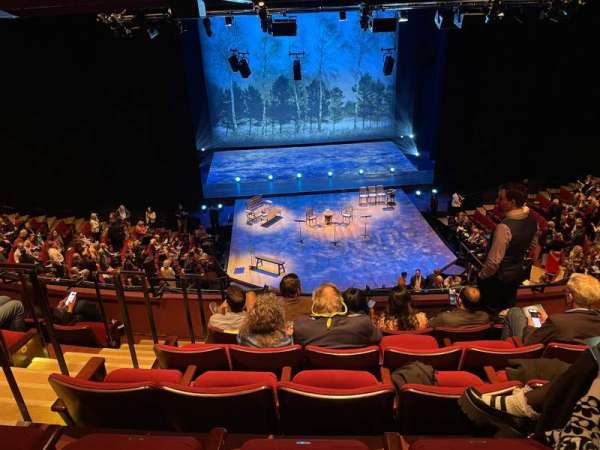Vivian Beaumont Theater, section: Loge C, row: E, seat: 302