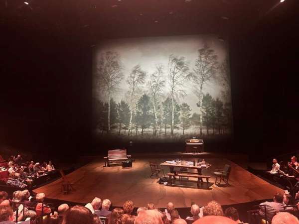 Vivian Beaumont Theater, section: Orchestra C, row: J, seat: 307