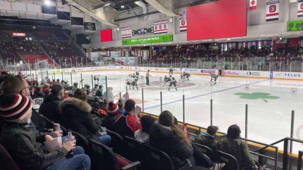 TD Place Arena, section: 17, row: G, seat: 15