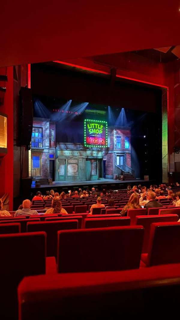 Bord Gáis Energy Theatre, section: Stalls, row: W, seat: 5