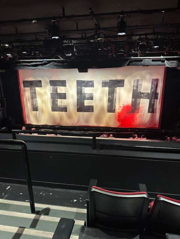 New World Stages - Stage 1, section: Mezzanine R, row: C, seat: 2
