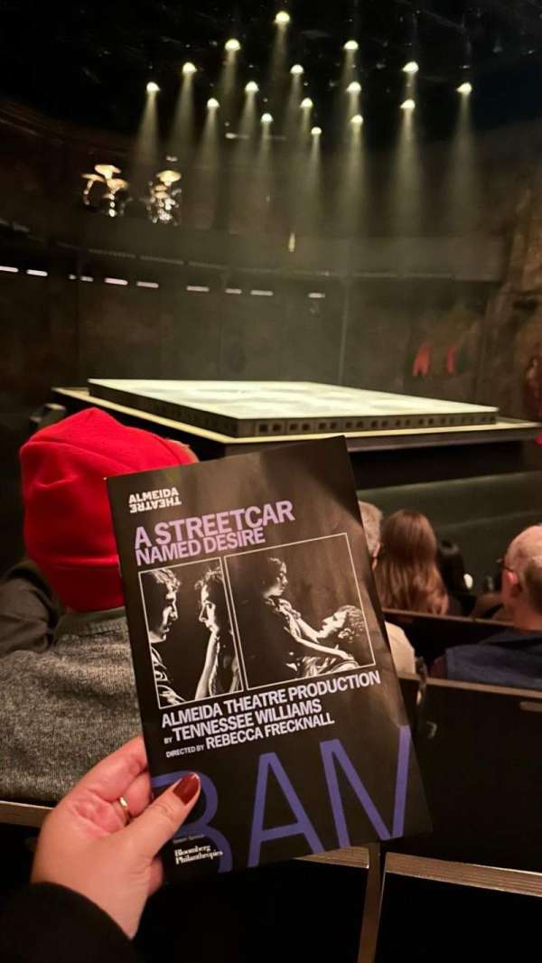 The Harvey Theater at The Brooklyn Academy Of Music, section: Orchestra, row: D, seat: 11