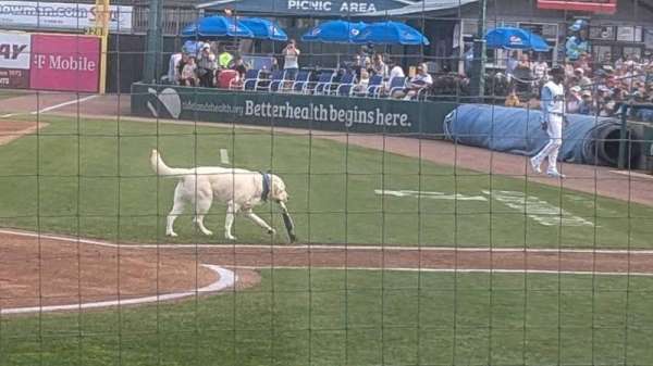 Pelicans Ballpark, section: 111, row: D, seat: 13