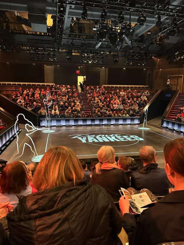 Fichandler Stage at Arena Stage, section: South, row: E, seat: 7