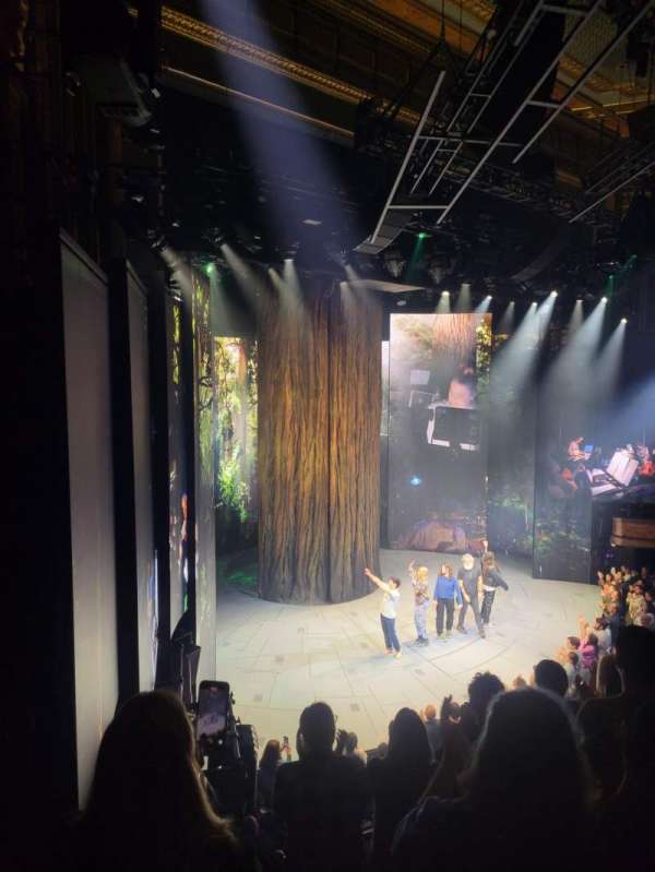 Nederlander Theatre, section: Mezzanine L, row: E, seat: 29