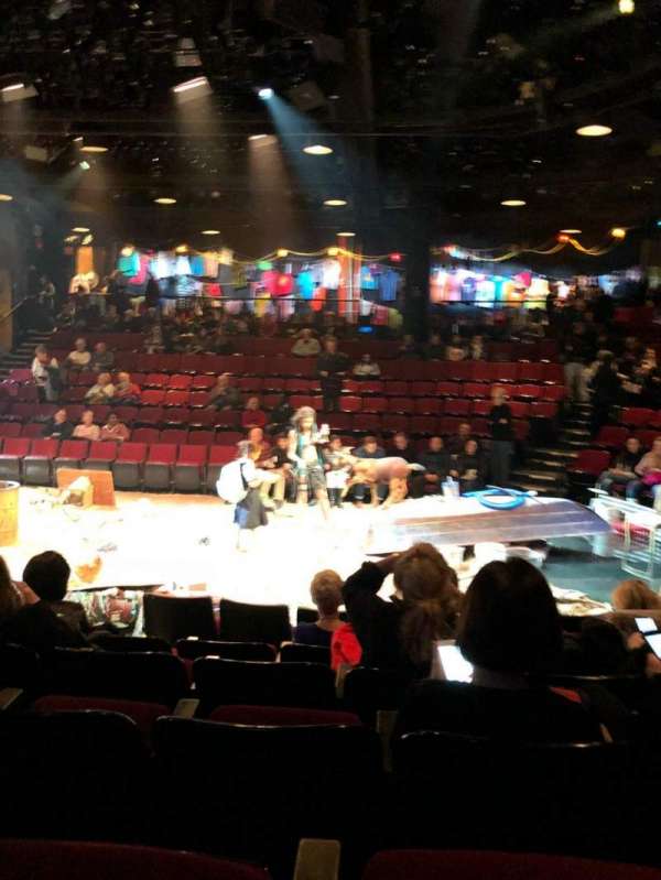 Circle in the Square Theatre, section: Orchestra 200 (Odd), row: E, seat: 215