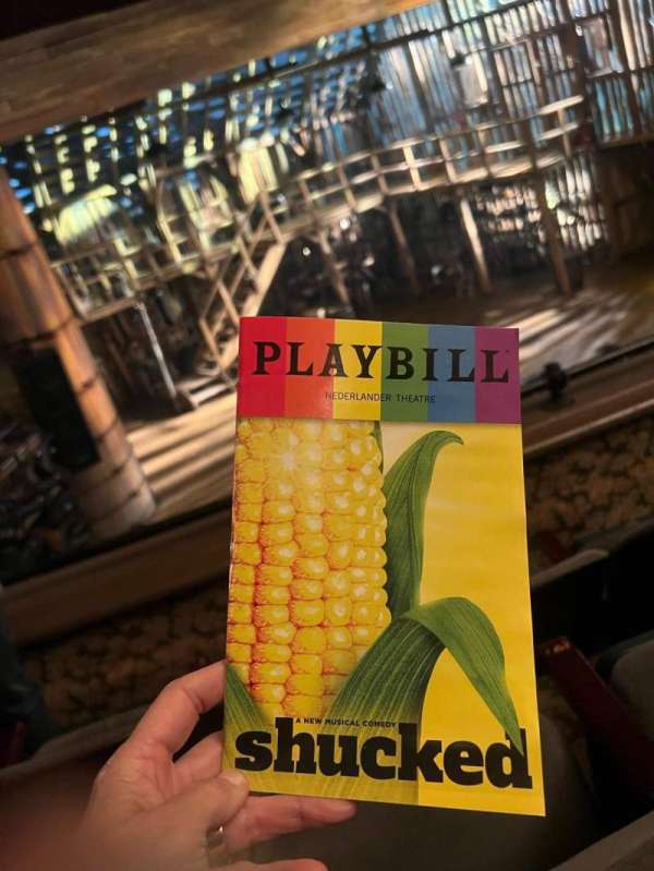 Nederlander Theatre, section: Mezzanine L, row: C, seat: 7