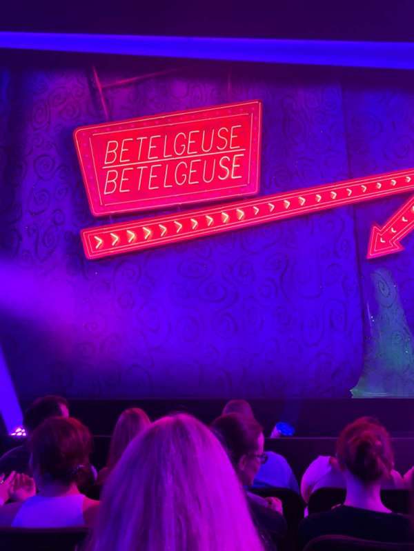 Winter Garden Theatre, section: Orchestra C, row: D, seat: 111