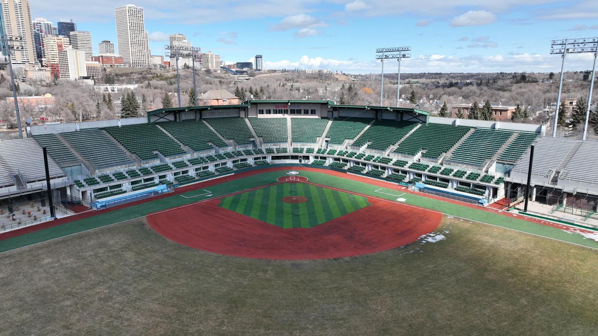 REMAX Field 