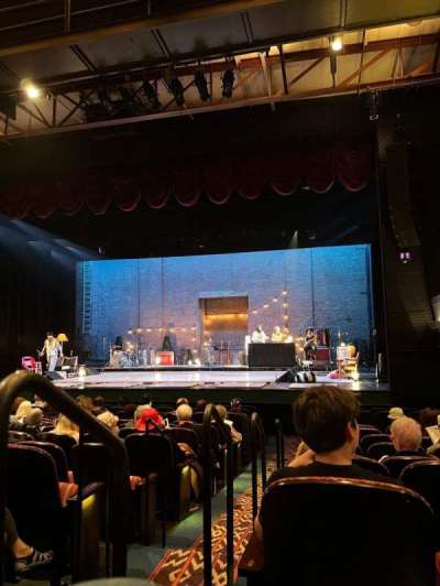 the joyce theater section Orchestra