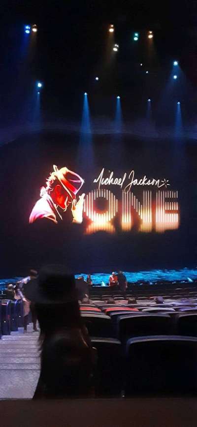 Michael Jackson One Theatre section 202