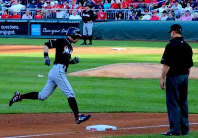 NATIONALS Park section 113
