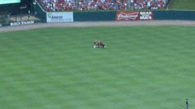 Busch Stadium section 448