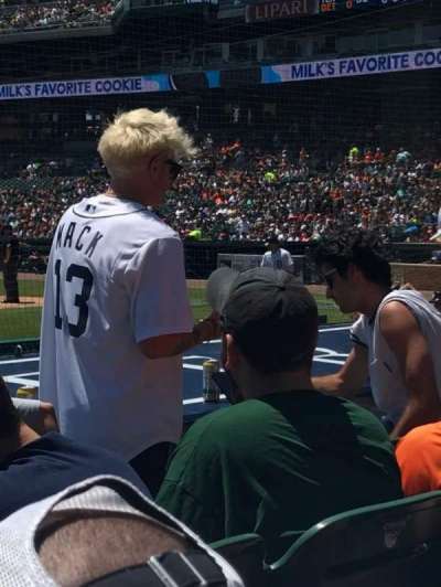 COMERICA PARK section 133