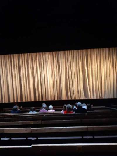 young vic section stalls
