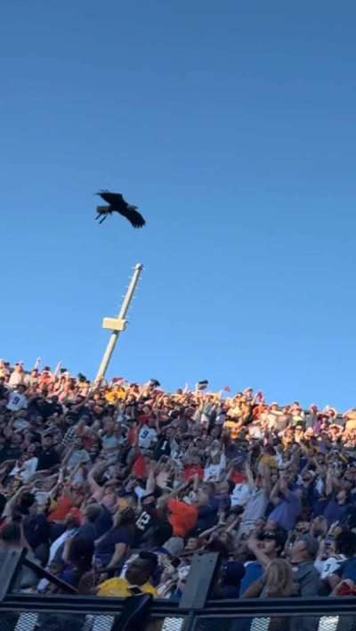 Jordan-Hare Stadium section 112