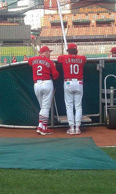 Busch Stadium section field