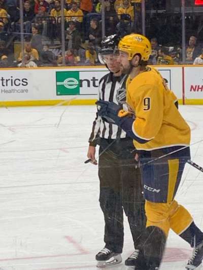 Bridgestone Arena section 117