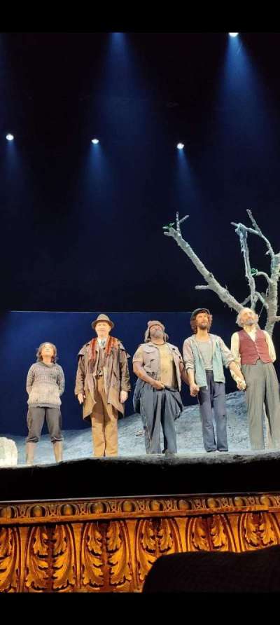 Theatre Royal Haymarket section Stalls