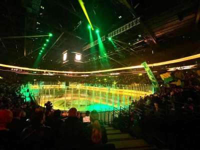 Ilves